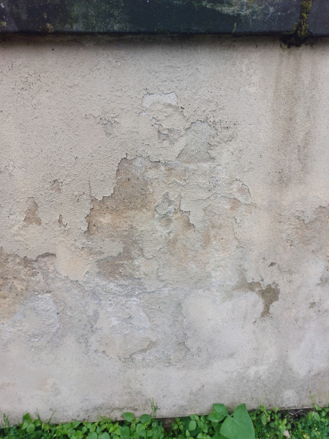 Visible property condition issue